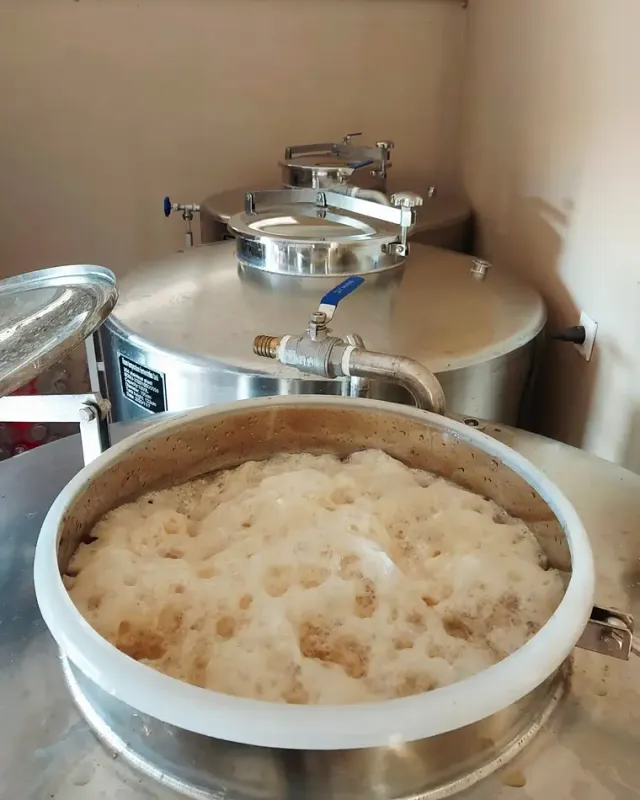Cuve de fermentation en inox de la distillerie