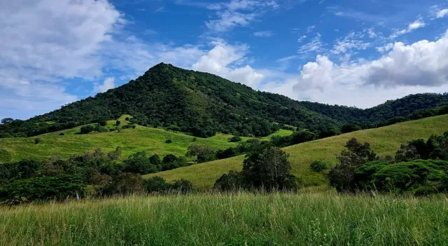 Les collines de Moindou, où est installée la distillerie